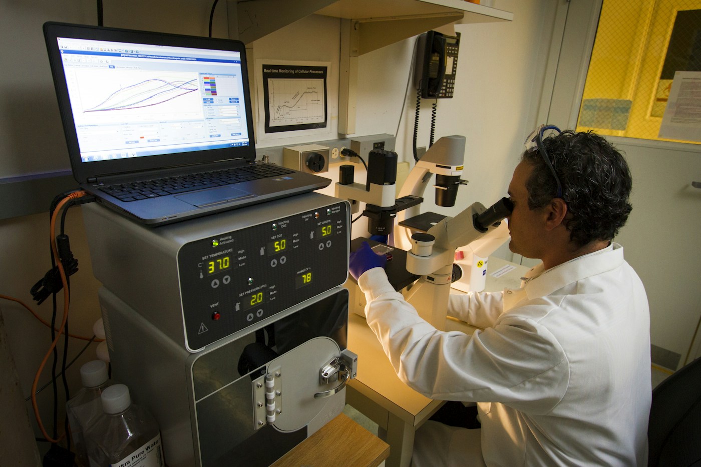 Illustrative photograph: Laboratory technician examining samples through a microscope